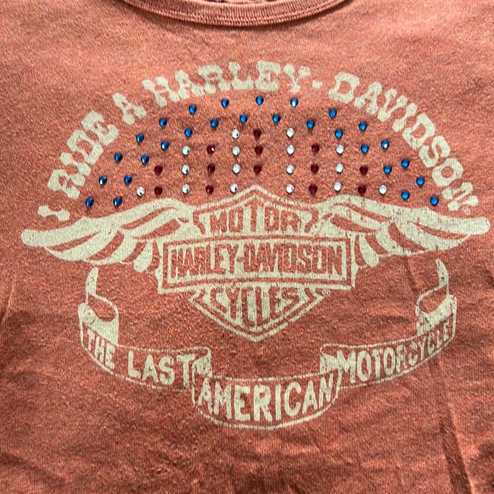 Harley Davidson Trunk Limited Edition Shirt